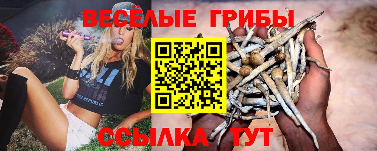 Щёлково  Галлюциногенные грибы GOLDEN TEACHER  Вход с VPN 