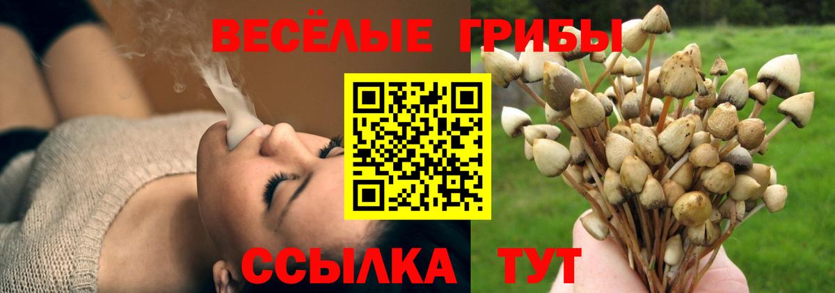 Галлюциногенные грибы мицелий Щёлково